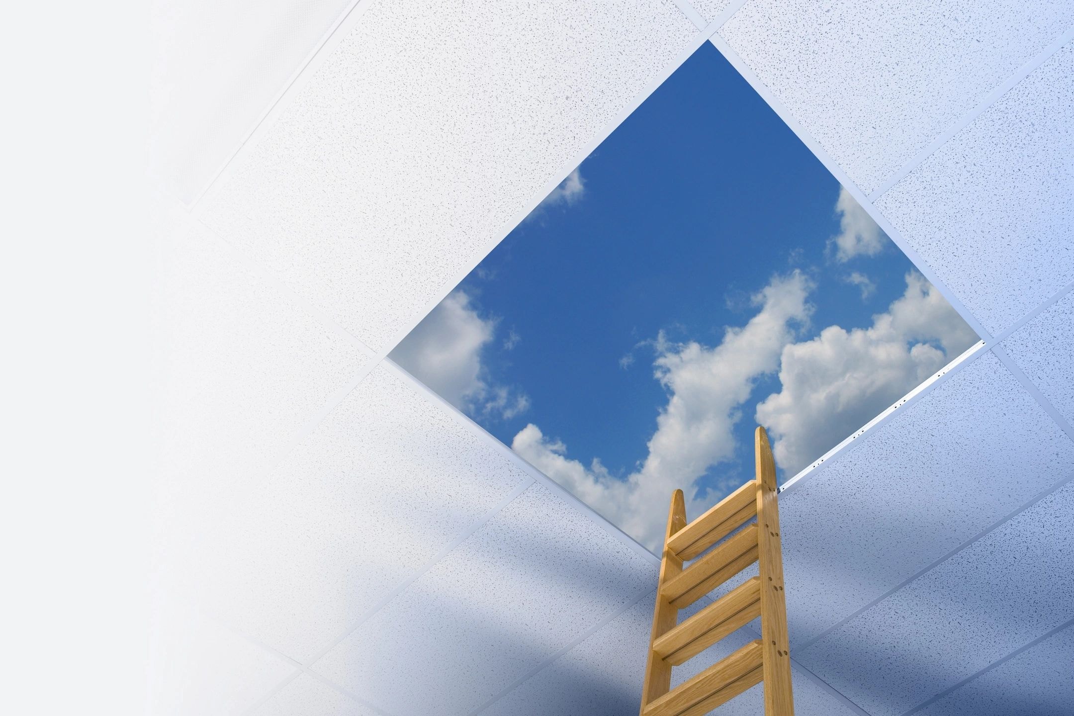 Ladder reaching toward open sky — opportunity and growth